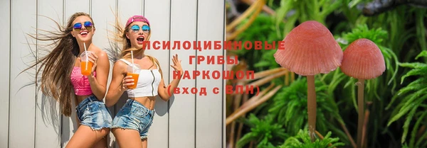 стаф Белокуриха