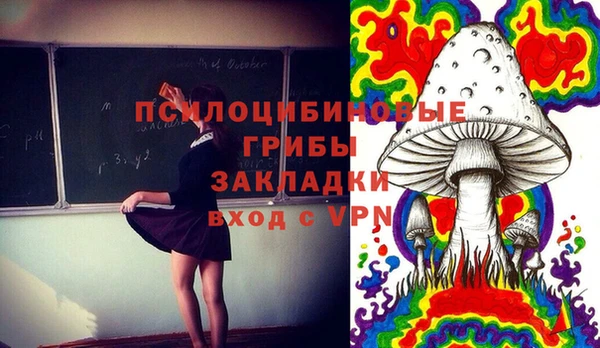 ECSTASY Белоозёрский