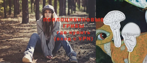 ECSTASY Белоозёрский