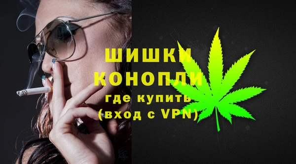 стаф Белокуриха