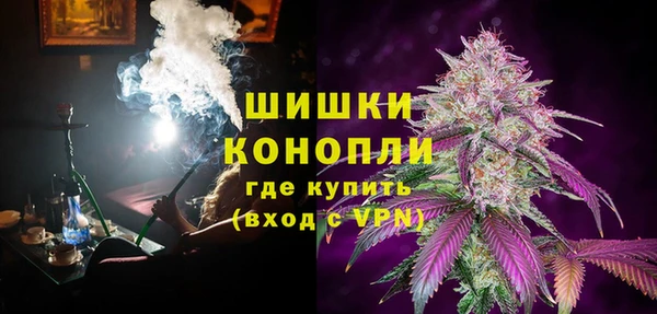стаф Белокуриха
