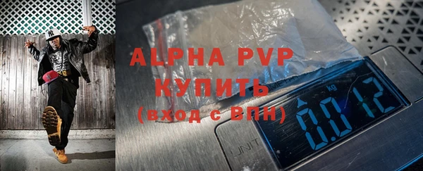 стаф Белокуриха