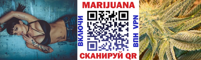 Канабис планчик  Болгар 